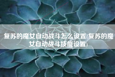 复苏的魔女自动战斗怎么设置(复苏的魔女自动战斗技能设置)