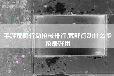 手游荒野行动枪械排行,荒野行动什么步枪最好用