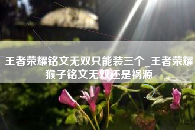 王者荣耀铭文无双只能装三个_王者荣耀猴子铭文无双还是祸源