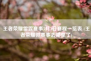 王者荣耀雷霆赛事5月3日赛程一览表 (王者荣耀微赛事去哪里了)