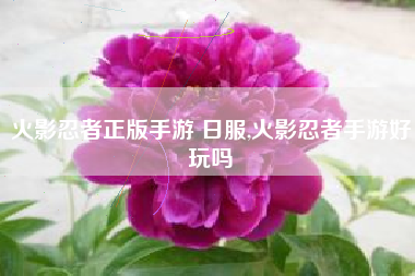 火影忍者正版手游 日服,火影忍者手游好玩吗