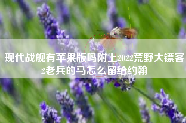 现代战舰有苹果版吗附上2022荒野大镖客2老兵的马怎么留给约翰
