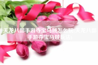 天龙八部手游夺宝马贼怎么玩(天龙八部手游夺宝马贼玩法)