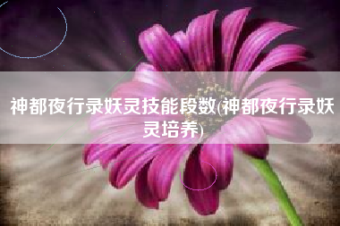 神都夜行录妖灵技能段数(神都夜行录妖灵培养)