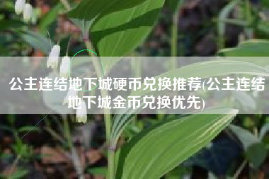 公主连结地下城硬币兑换推荐(公主连结地下城金币兑换优先)