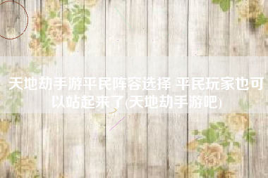 天地劫手游平民阵容选择 平民玩家也可以站起来了(天地劫手游吧)