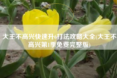 大王不高兴快速升6打法攻略大全(大王不高兴第1季免费完整版)