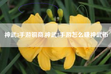 神武3手游铜商,神武3手游怎么赚神武币