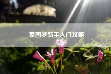 家国梦新手入门攻略