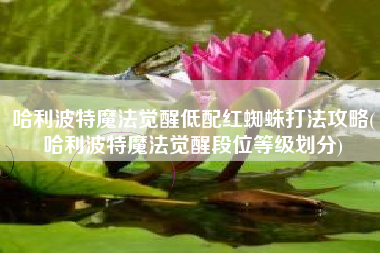 哈利波特魔法觉醒低配红蜘蛛打法攻略(哈利波特魔法觉醒段位等级划分)