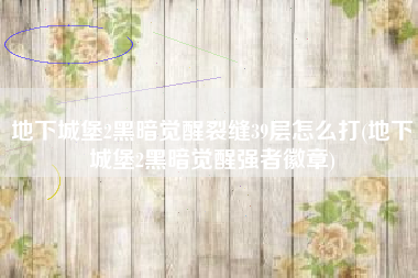 地下城堡2黑暗觉醒裂缝39层怎么打(地下城堡2黑暗觉醒强者徽章)