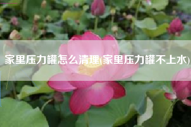 家里压力罐怎么清理(家里压力罐不上水)