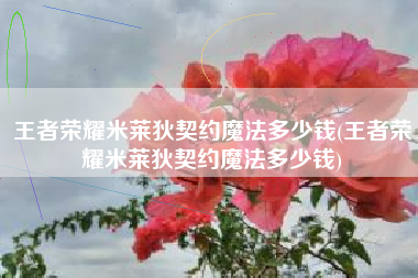 王者荣耀米莱狄契约魔法多少钱(王者荣耀米莱狄契约魔法多少钱)