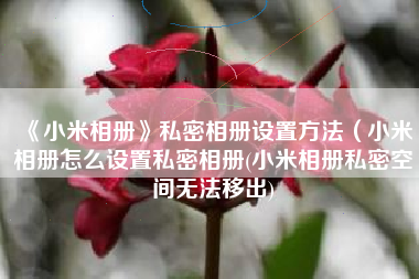 《小米相册》私密相册设置方法（小米相册怎么设置私密相册(小米相册私密空间无法移出)