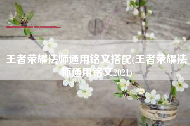 王者荣耀法师通用铭文搭配(王者荣耀法师通用铭文2021)