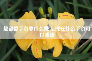 楚留香手游靠什么赚钱,现在什么手游可以赚钱