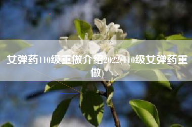 女弹药110级重做介绍2022(110级女弹药重做)