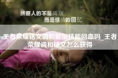 王者荣耀铭文调和能加技能回血吗_王者荣耀调和铭文怎么获得