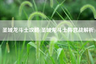 圣域龙斗士攻略(圣域龙斗士阵营战解析)