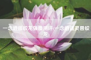 一念逍遥蛟龙强度测评(一念逍遥灵兽蛟龙)