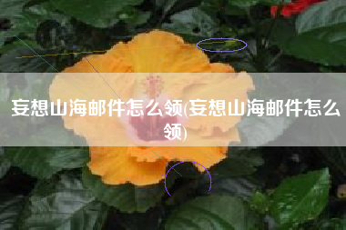 妄想山海邮件怎么领(妄想山海邮件怎么领)