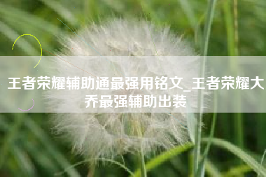 王者荣耀辅助通最强用铭文_王者荣耀大乔最强辅助出装