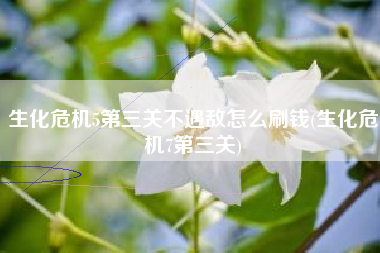 生化危机5第三关不遇敌怎么刷钱(生化危机7第三关)
