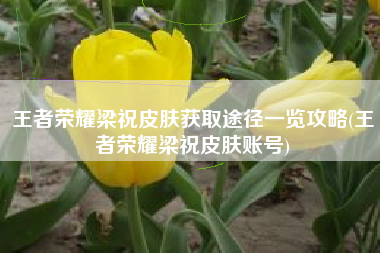 王者荣耀梁祝皮肤获取途径一览攻略(王者荣耀梁祝皮肤账号)