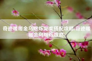 奇迹暖暖金乌煜烁完美搭配攻略(奇迹暖暖金乌煜烁攻略)