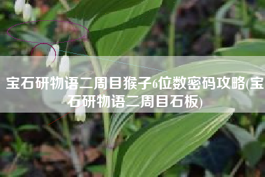 宝石研物语二周目猴子6位数密码攻略(宝石研物语二周目石板)