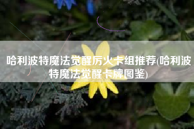 哈利波特魔法觉醒厉火卡组推荐(哈利波特魔法觉醒卡牌图鉴)