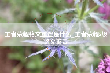 王者荣耀铭文重置是什么_王者荣耀5级铭文重置
