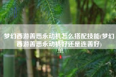 梦幻西游善恶永动机怎么搭配技能(梦幻西游善恶永动机好还是连善好)