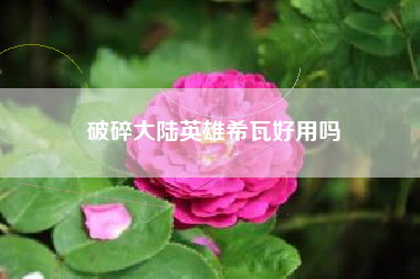 破碎大陆英雄希瓦好用吗