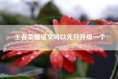 王者荣耀铭文可以先只升级一个
