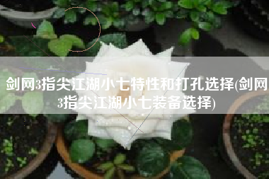 剑网3指尖江湖小七特性和打孔选择(剑网3指尖江湖小七装备选择)