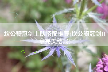 坎公骑冠剑土队搭配推荐(坎公骑冠剑11章完美结局)