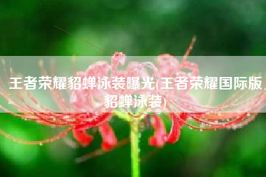 王者荣耀貂蝉泳装曝光(王者荣耀国际版貂蝉泳装)
