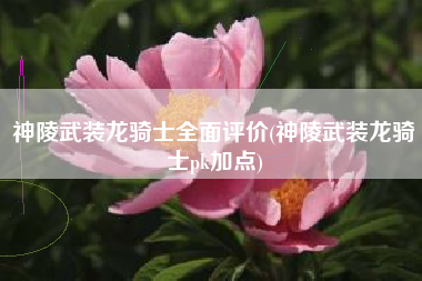神陵武装龙骑士全面评价(神陵武装龙骑士pk加点)