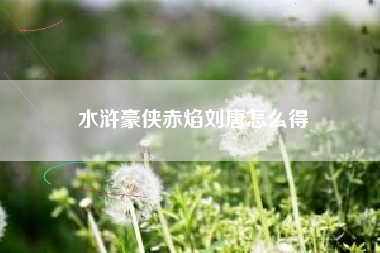 水浒豪侠赤焰刘唐怎么得