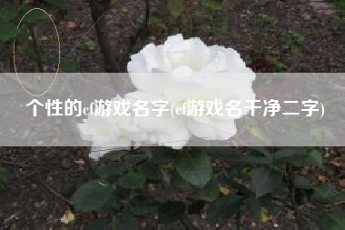 个性的cf游戏名字(cf游戏名干净二字)