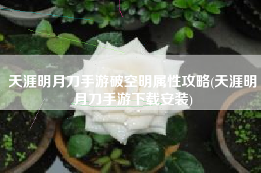 天涯明月刀手游破空明属性攻略(天涯明月刀手游下载安装)