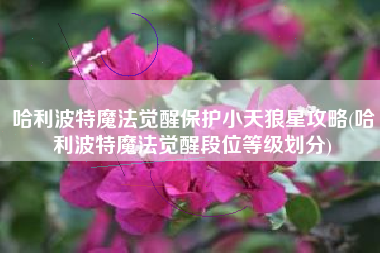 哈利波特魔法觉醒保护小天狼星攻略(哈利波特魔法觉醒段位等级划分)