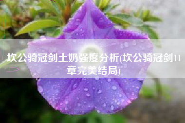 坎公骑冠剑土奶强度分析(坎公骑冠剑11章完美结局)