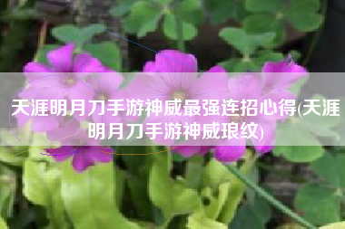 天涯明月刀手游神威最强连招心得(天涯明月刀手游神威琅纹)