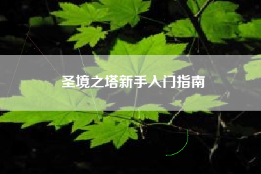 圣境之塔新手入门指南