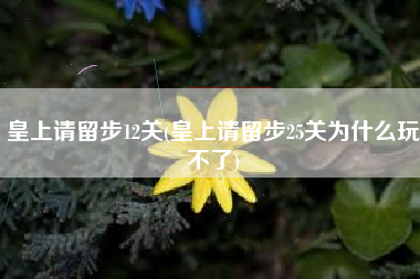 皇上请留步12关(皇上请留步25关为什么玩不了)