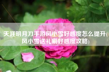 天涯明月刀手游风小雪好感度怎么提升(风小雪送礼刷好感度攻略)