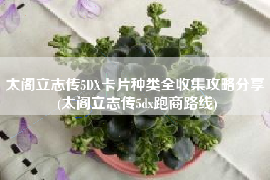 太阁立志传5DX卡片种类全收集攻略分享 (太阁立志传5dx跑商路线)