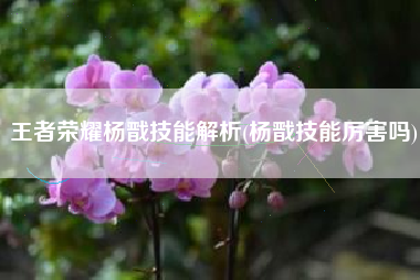 王者荣耀杨戬技能解析(杨戬技能厉害吗)
